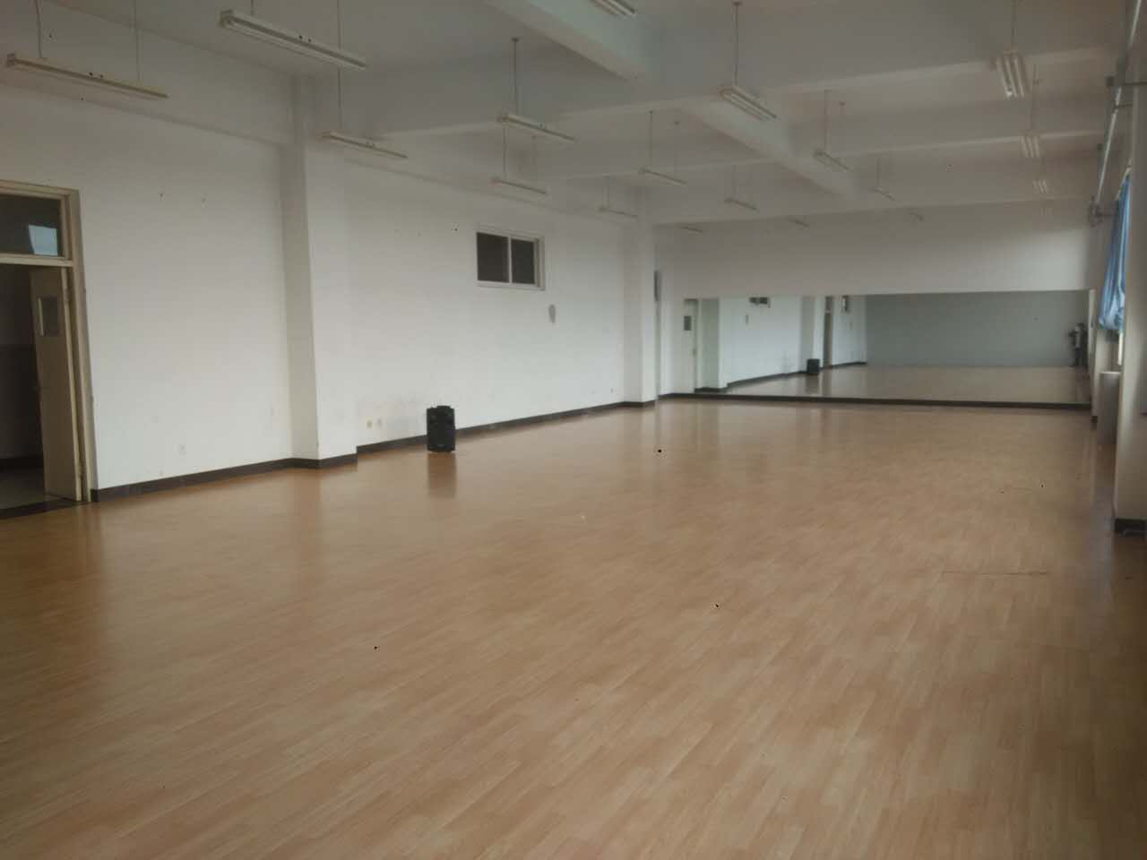 舞蹈室地膠,舞蹈地膠 舞蹈室地膠,舞蹈地膠