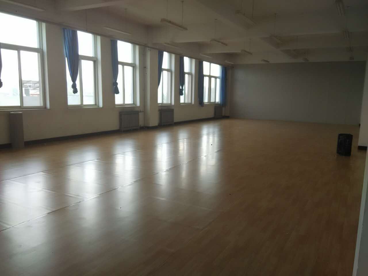 舞蹈室地膠,舞蹈地膠 舞蹈室地膠,舞蹈地膠