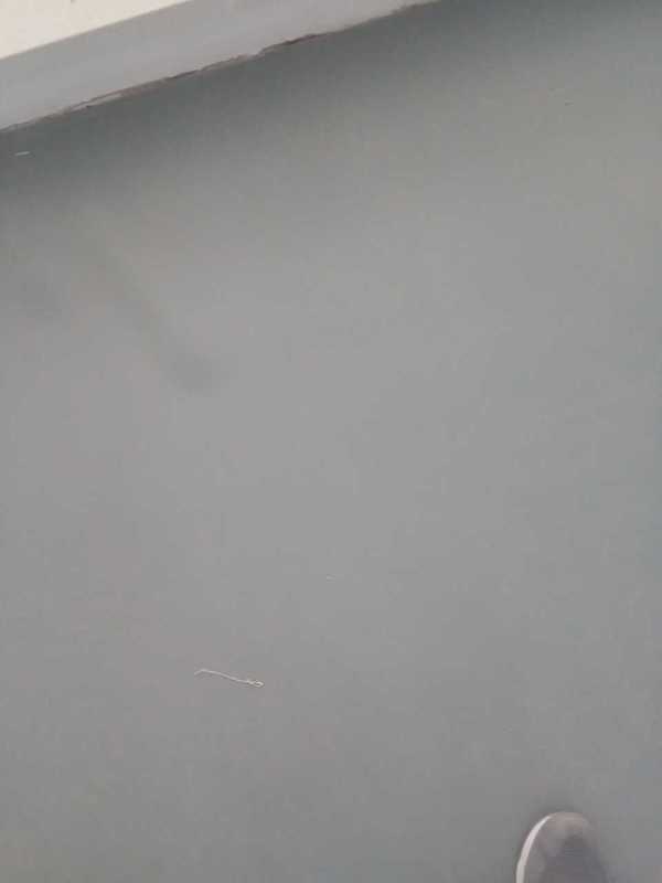 舞蹈地膠 舞蹈地膠