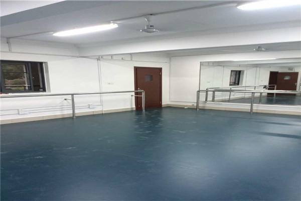 舞蹈地膠,舞蹈室地膠 舞蹈地膠,舞蹈室地膠