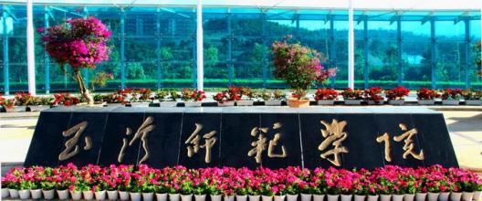 舞蹈地膠,舞蹈室地膠 舞蹈地膠,舞蹈室地膠