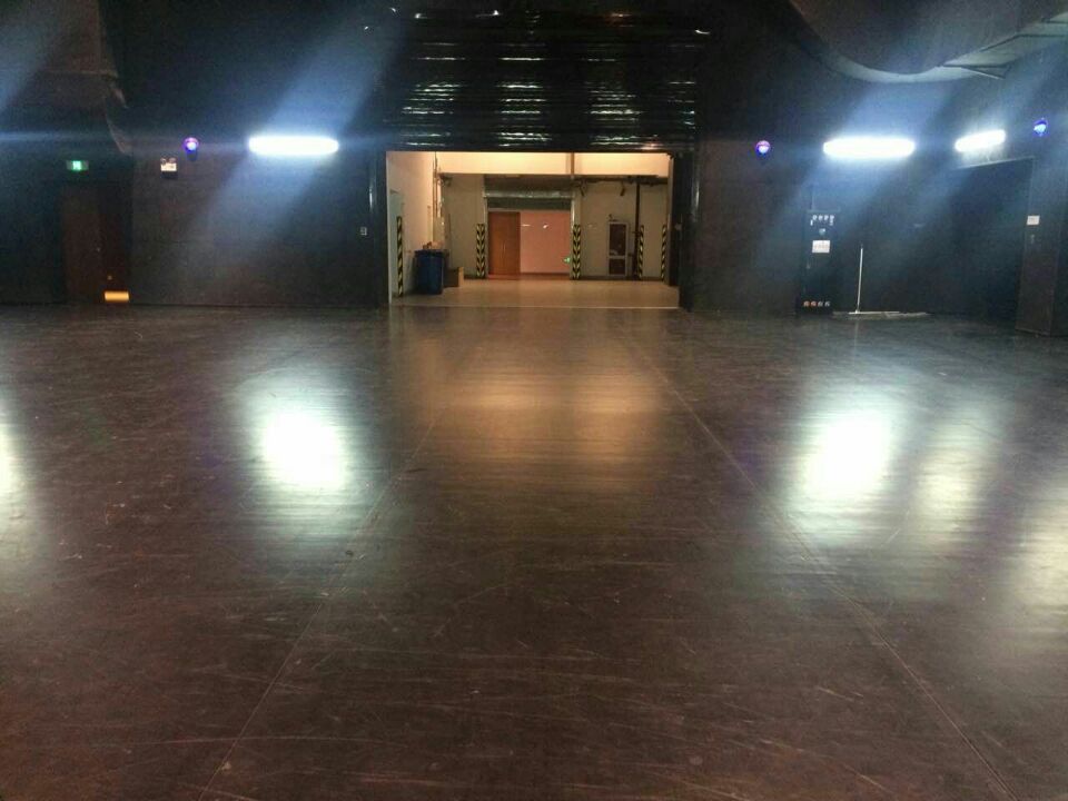 舞蹈地膠,舞臺地膠 舞蹈地膠,舞臺地膠