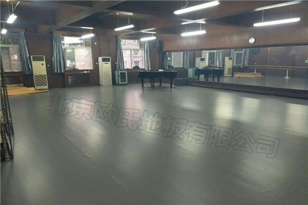 舞蹈地膠 舞蹈地膠