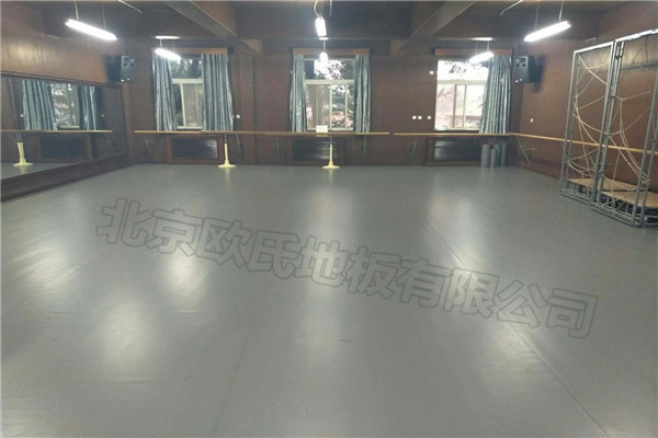 舞蹈地膠 舞蹈地膠