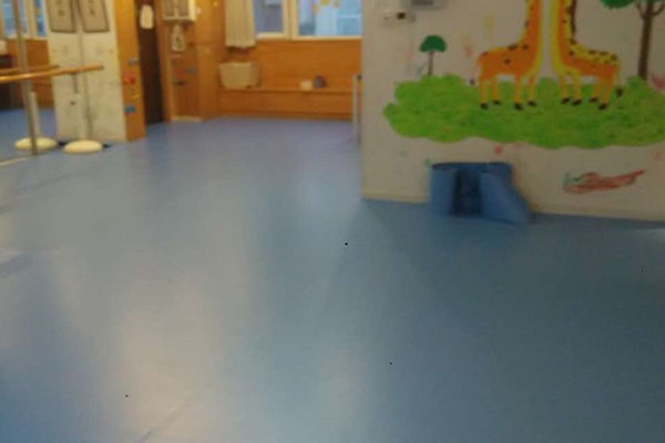 舞蹈地膠 舞蹈地膠