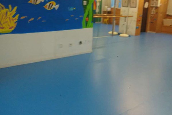 舞蹈地膠 舞蹈地膠