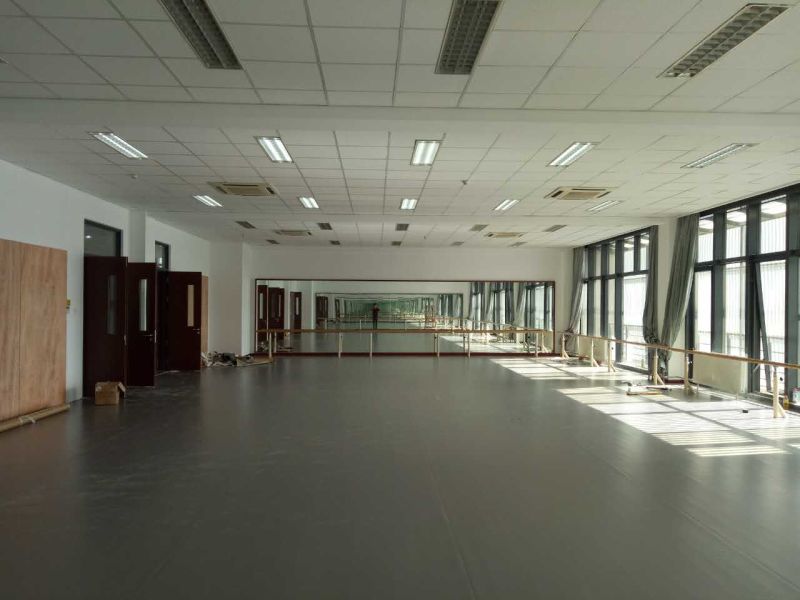 舞蹈地膠,舞蹈室地膠