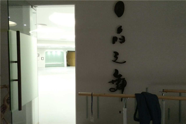 舞蹈地膠 舞蹈地膠