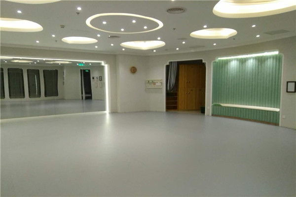 舞蹈地膠 舞蹈地膠