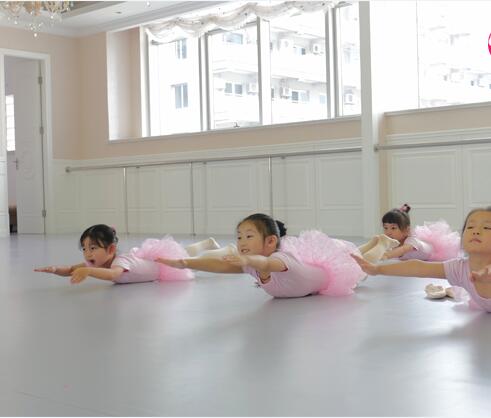 舞蹈地膠,舞蹈室地膠 舞蹈地膠,舞蹈室地膠