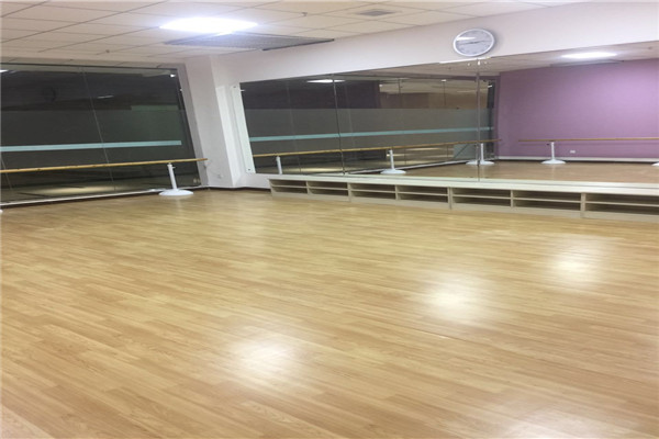 舞蹈地膠,舞蹈室地膠 舞蹈地膠,舞蹈室地膠