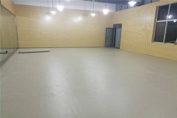 舞蹈地膠 舞蹈地膠