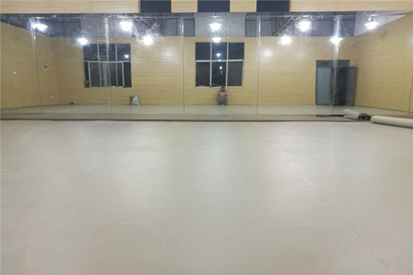 舞蹈地膠 舞蹈地膠