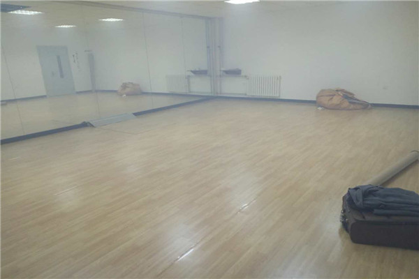 舞蹈地膠 舞蹈地膠