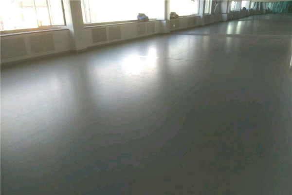 舞蹈地膠 舞蹈地膠