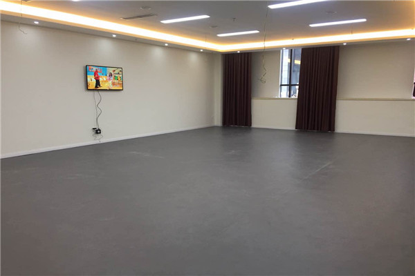 舞蹈地膠 舞蹈地膠