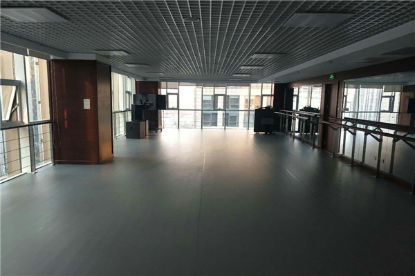 舞蹈地膠 舞蹈地膠