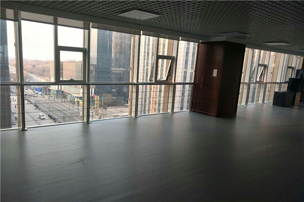 舞蹈地膠 舞蹈地膠