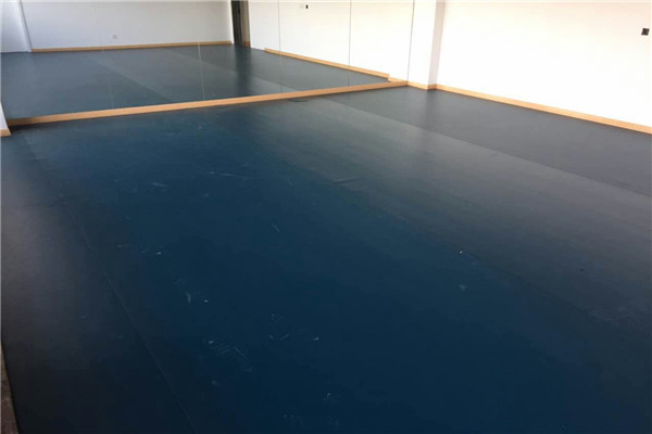 舞蹈地膠 舞蹈地膠