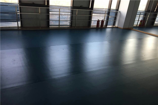 舞蹈地膠 舞蹈地膠