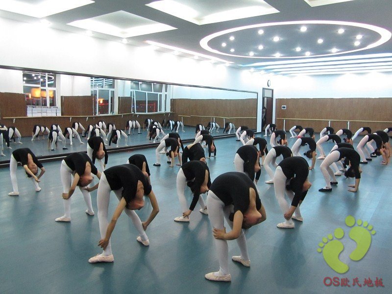 佳木斯富錦市藝萱舞蹈培訓(xùn)學(xué)校舞蹈教室地膠