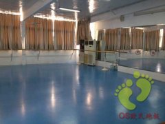 楊霓虹舞蹈教育